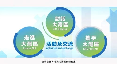 粤港澳大湾区青年创业线上交流会在穗举行 聚焦信息技术咨询服务发展