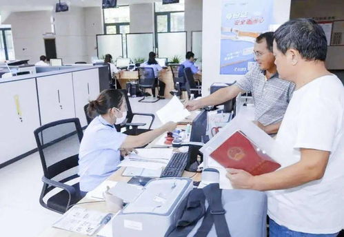 为民服务中心2.0版正式上线 信息技术咨询服务助力科技城东渚发展